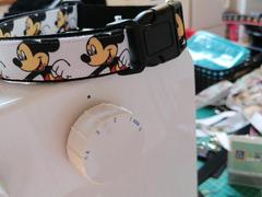 Dog people would you buy this type of collar? ?