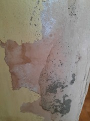 Painting damaged walls - advice needed