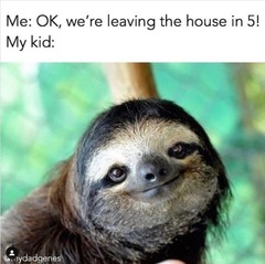 AIBU to miss silly meme threads?