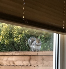to ask what random shit is going on in your world today?