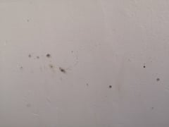 Mould on bedroom wall
