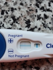 Clearblue tests