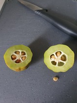 Weird fruit