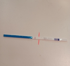 5dpo 2WW with me?