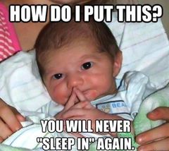 AIBU to miss silly meme threads?
