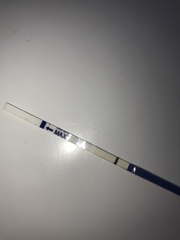 Bfp ?