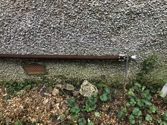 What on earth is this at the side of my house?