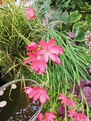 Can you ID these please?