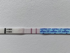 Early ovulation after chemical pregnancy? This is a strong OPK, right?!