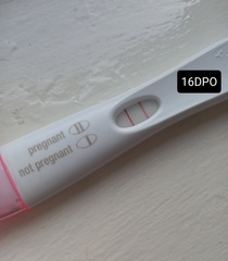 17 dpo - FRER