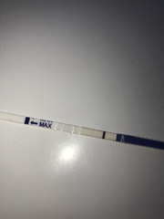 Bfp ?