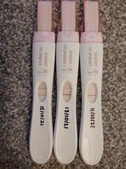4-5 week FRER photos?
