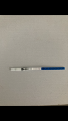 Do evap lines ever get darker over time?