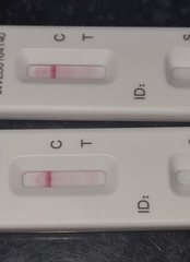 Is there a line or just pink background?