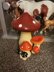 Any Witches Here? Part 15