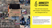 To think Amnesty International now does more harm to women than good?