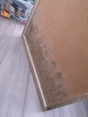 Mould on bedroom wall