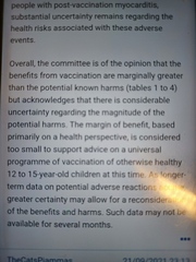 Can a vaccinated 13 year old obtain a valid vaccination certificate to fly?