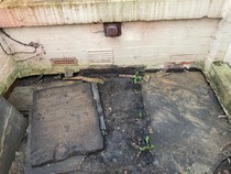 Damp problem