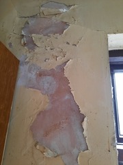 Painting damaged walls - advice needed