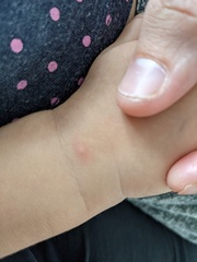 Trapped toddler parents: Inspiration and support needed through the summer hols!!