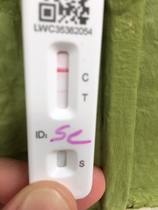 DD positive LFT but negative PCR
