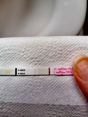 Easy@home pregnancy tests... Bfp? Ps i think im psychic...so...yeh 😂