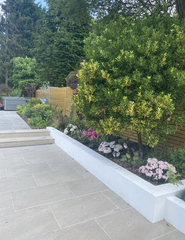 Help with planting for this raised bed