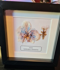 Knit, Crochet and Natter 6: Where there's a wool there's a way