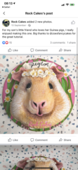 AIBU to be disappointed in this cake…