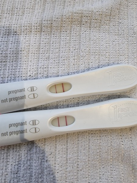 IVF/FET October/November 21 part 2