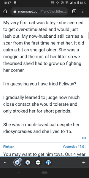 Website continually crashing on mobile device?