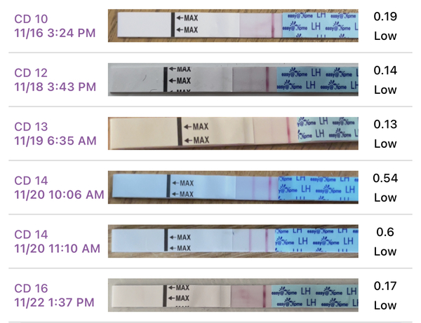 OPK help - I’m clueless