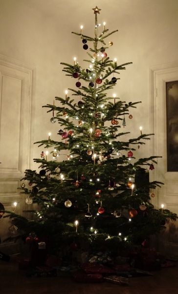 Are you one of this people with a perfect looking Christmas tree?