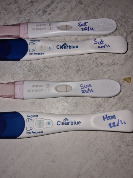 Due July/August 2022