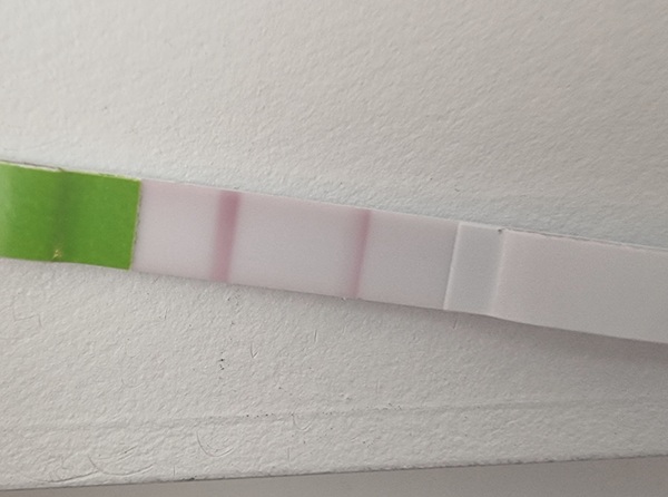 One step ovulation test- line half darker