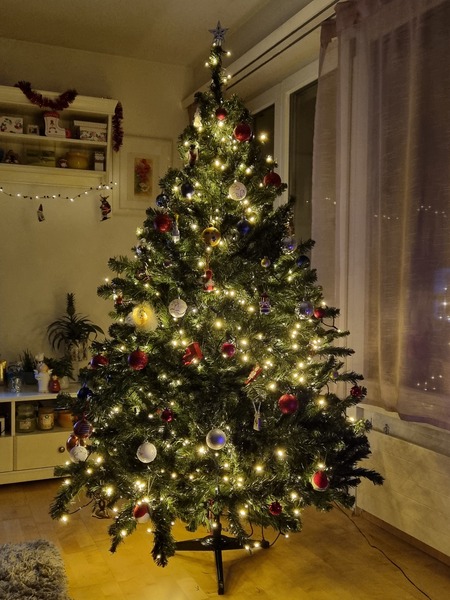 Show us your tree!