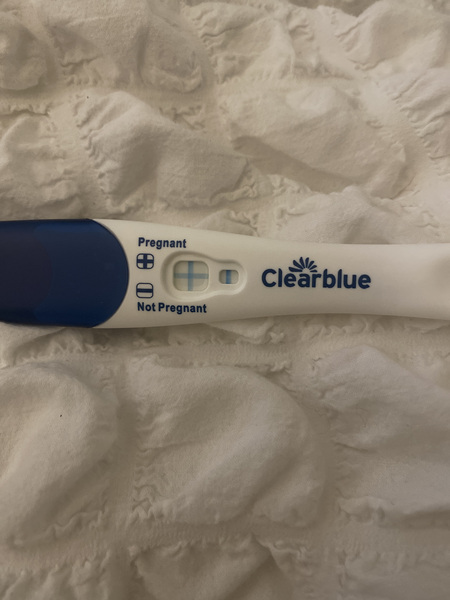 IVF/FET October/November 21 part 2