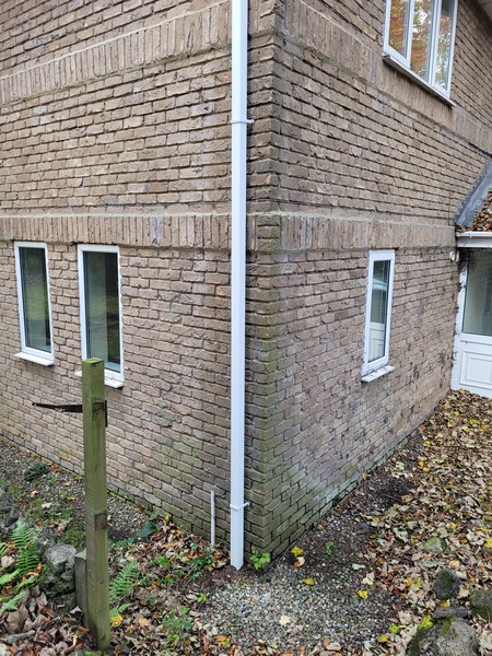 What could be causing this damp?