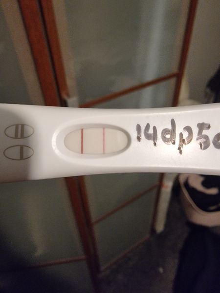 IVF/FET October/November 21 part 2
