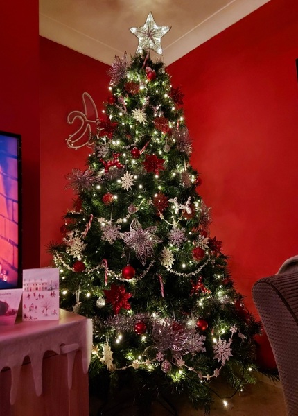 Are you one of this people with a perfect looking Christmas tree?