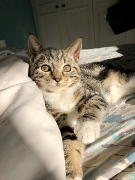 Introducing MrJones