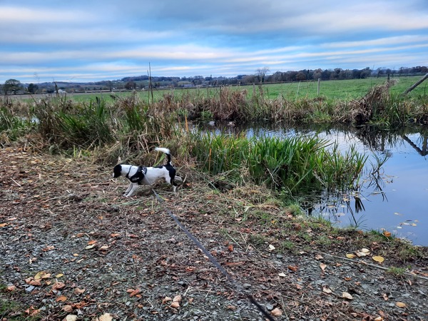 Morning all! What's everyone doing today?