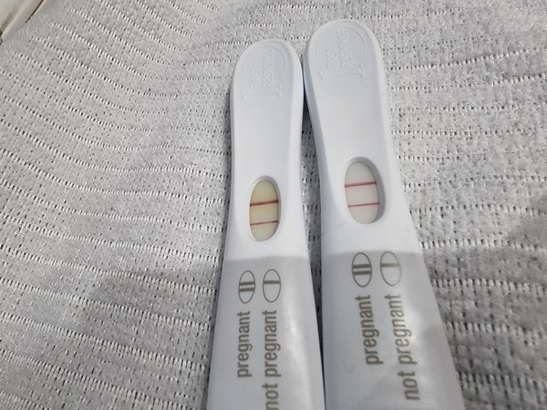 IVF/FET October/November 21 part 2