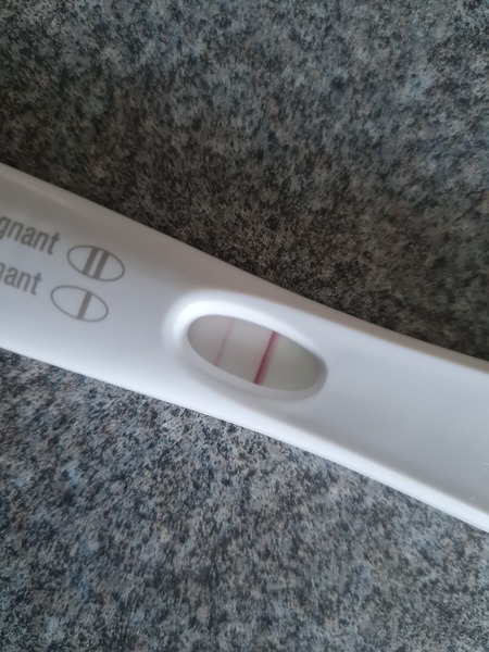 5/6dpo who's with me?
