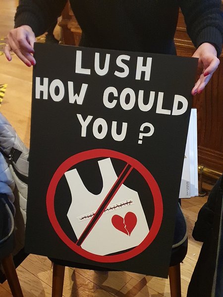 Lush Binder Collection