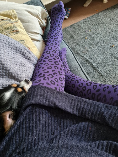 Snag tights - how are they supposed to fit?
