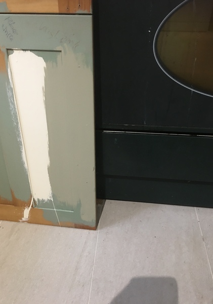 First world problem- have you ever seen khaki/ brown green kitchen cabinets