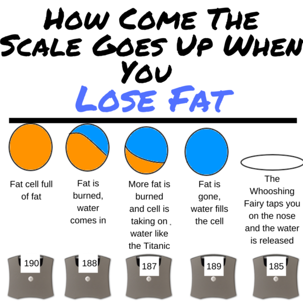 Week 4 - Pre-Christmas Low Carb Bootcamp