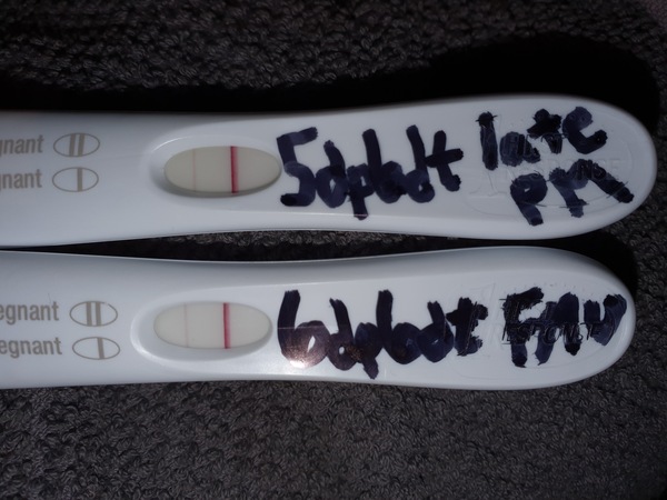 need squinter eyes- FET 4dp6dt evening urine